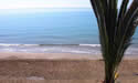 B&B La Spiaggia