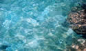 B&B La Spiaggia