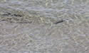 B&B La Spiaggia